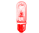 Klematis